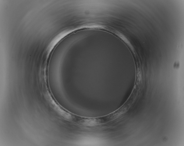 X0000111440959200907131302
