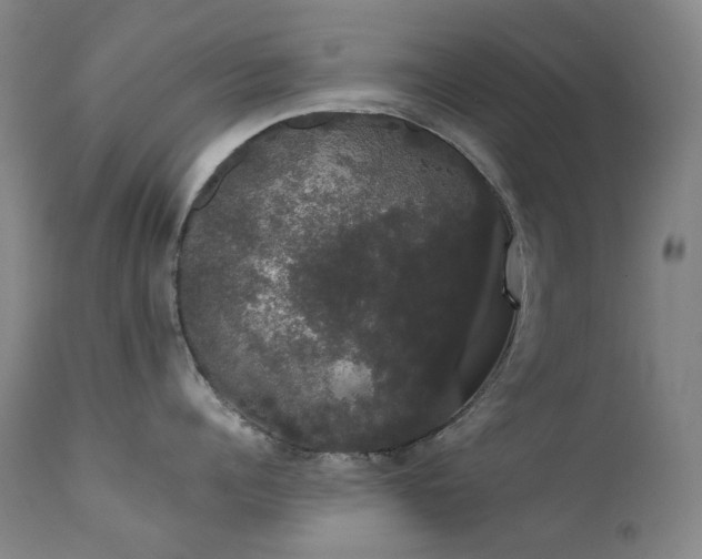 X0000111440960200907131302