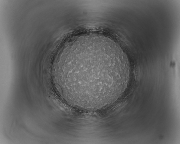X0000111440961200907131301