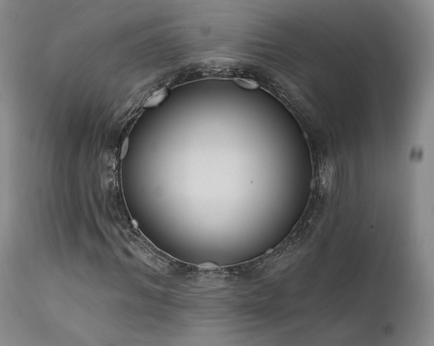 X0000111440964200907131301