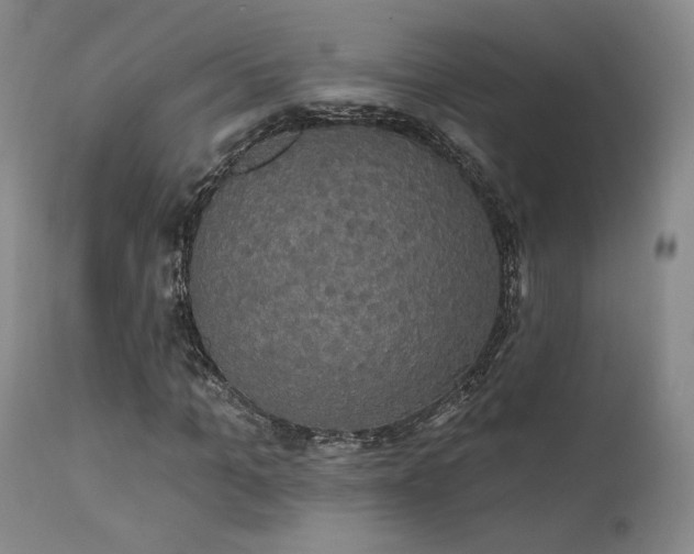 X0000111440965200907131301