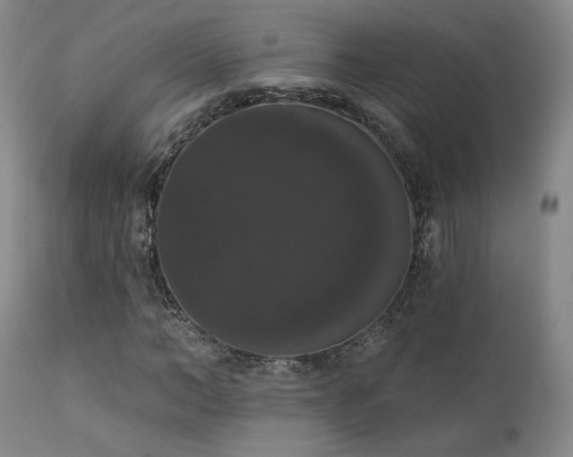 X0000111440966200907131301