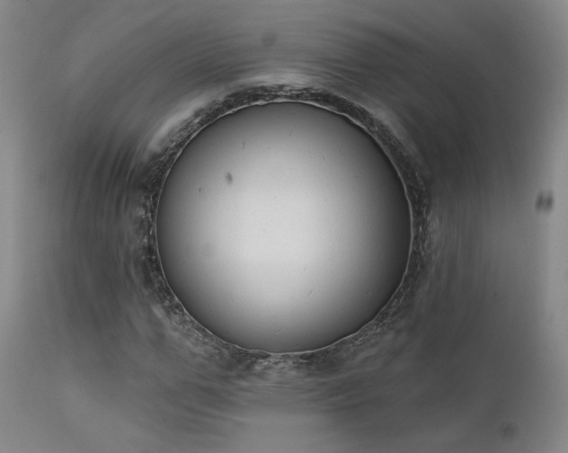 X0000111440967200907131301