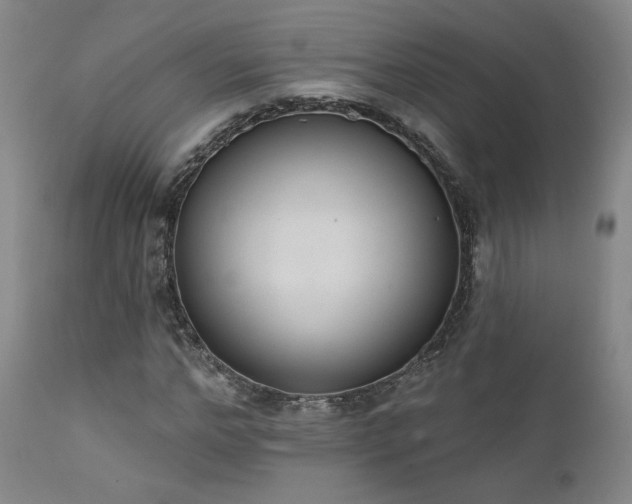 X0000111440968200907131301