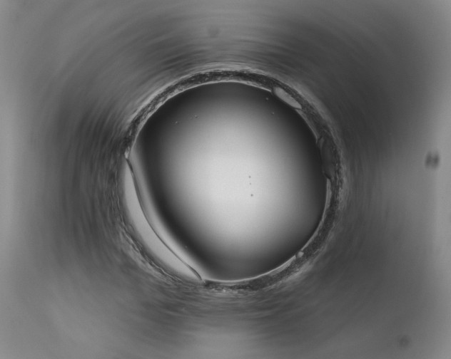 X0000111440969200907131301