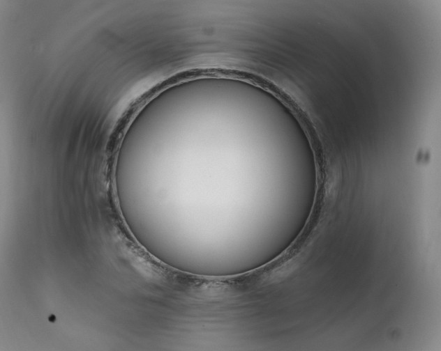 X0000111440974200907131301