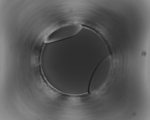 X0000111440977200907131301