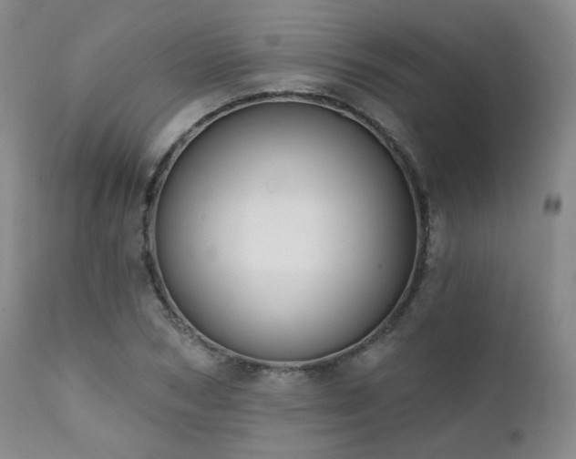 X0000111440978200907131301