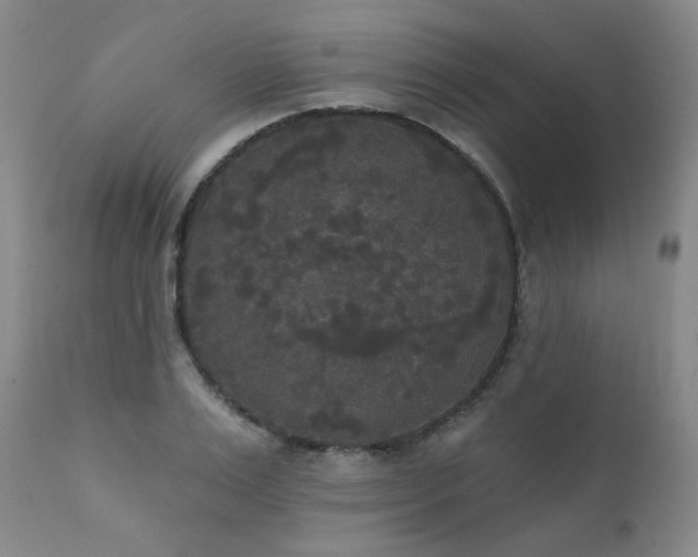 X0000111440983200907131301