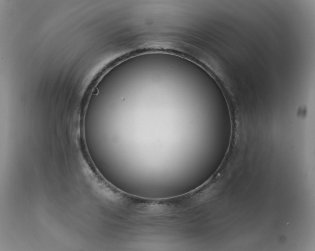 X0000111440984200907131301