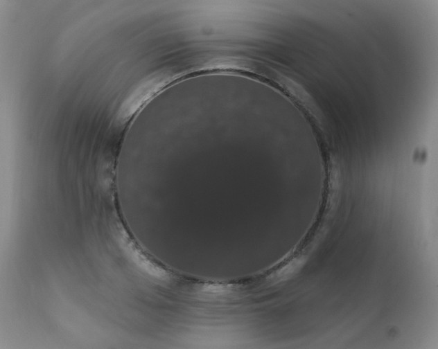 X0000111440985200907131301