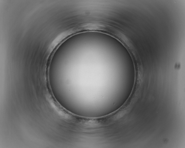 X0000111440986200907131301