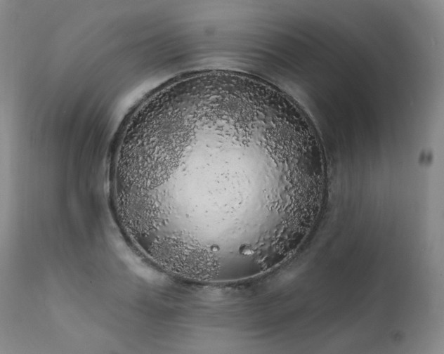 X0000111440987200907131301