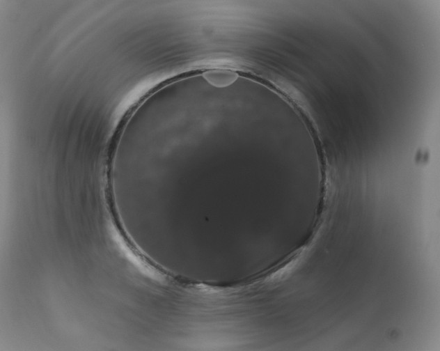 X0000111440989200907131301