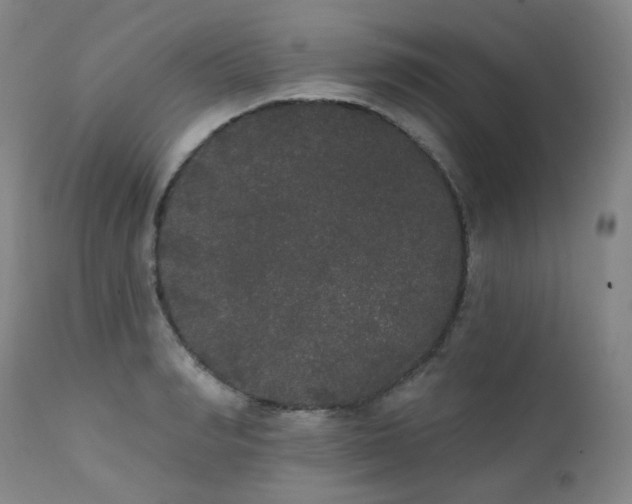X0000111440990200907131301