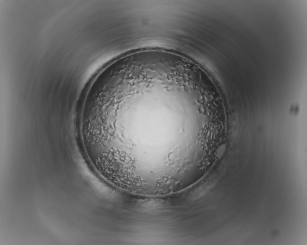 X0000111440991200907131301