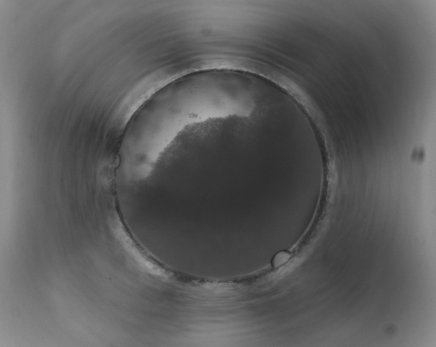 X0000111440993200907131301