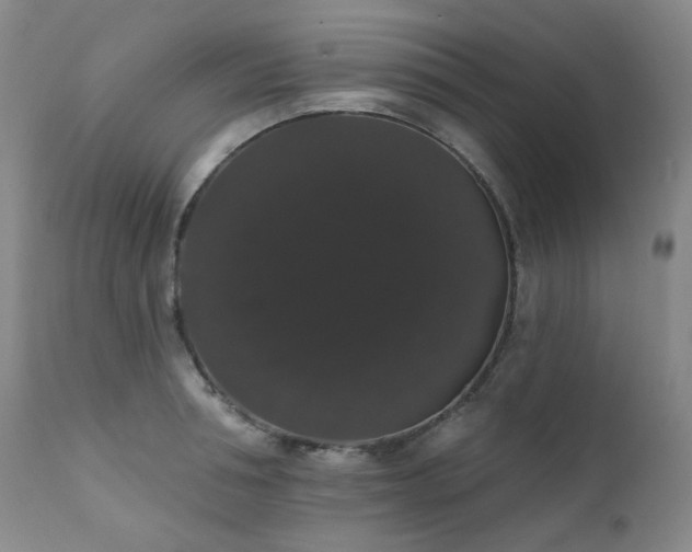 X0000111440994200907131301