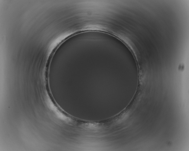 X0000111440995200907131301