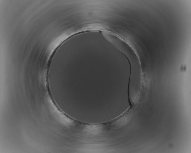 X0000111440997200907131301