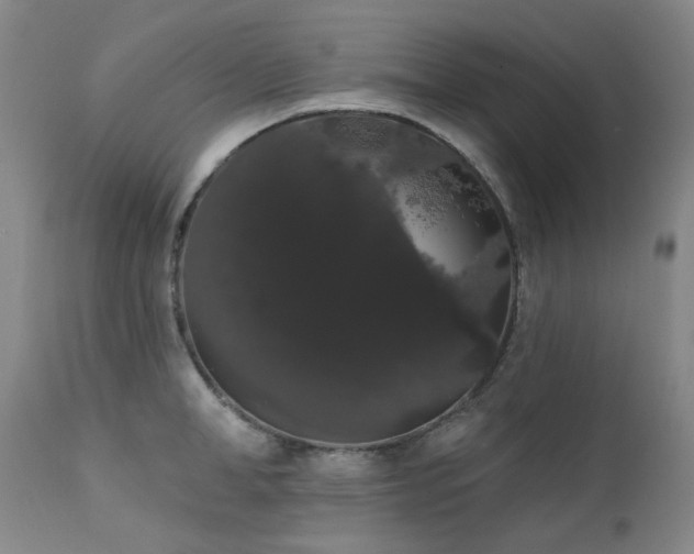X0000111440998200907131301