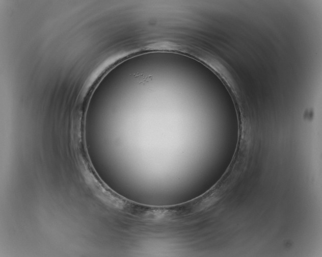 X0000111441000200907131301
