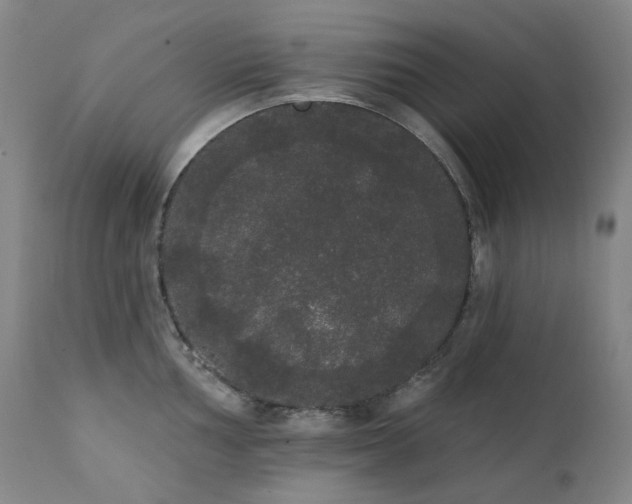 X0000111441002200907131301