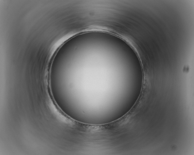 X0000111441003200907131301