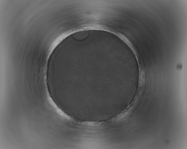 X0000111441005200907131300