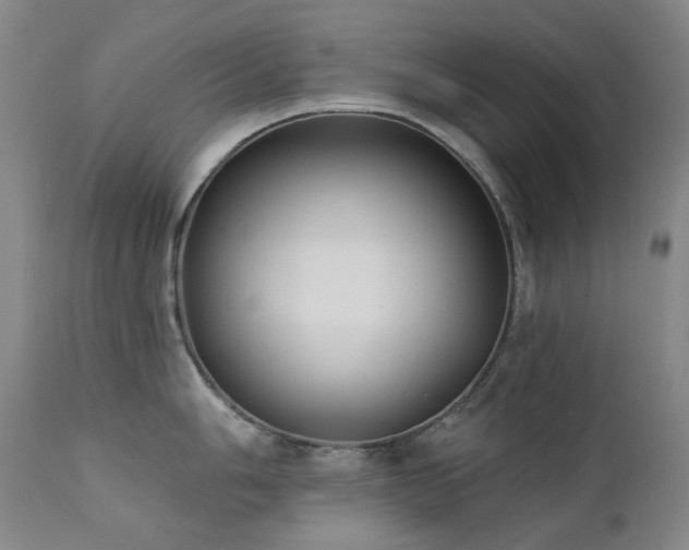X0000111441006200907131300