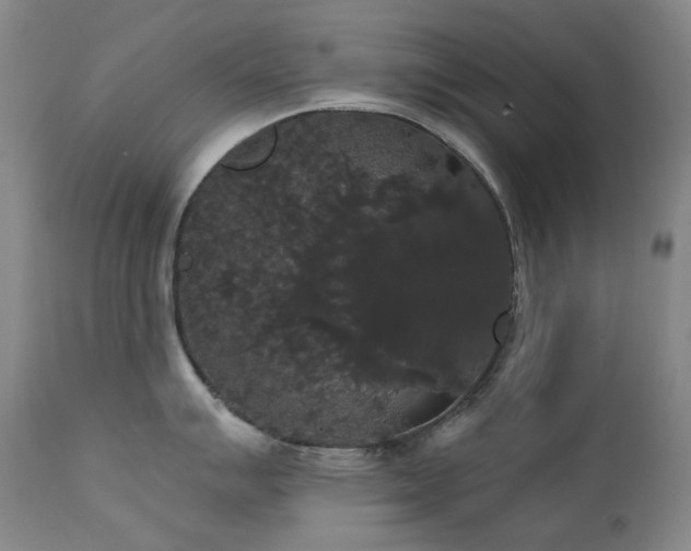 X0000111441007200907131300