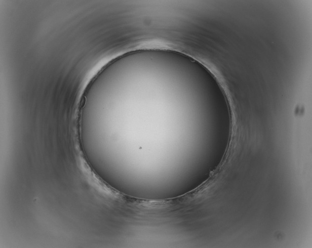 X0000111441008200907131300