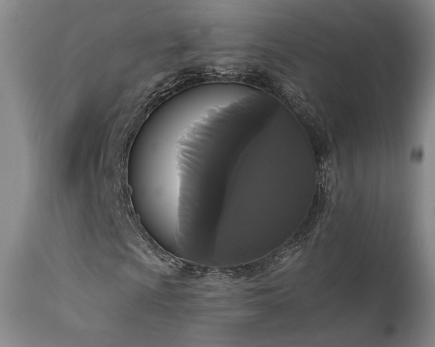 X0000111441009200907131300