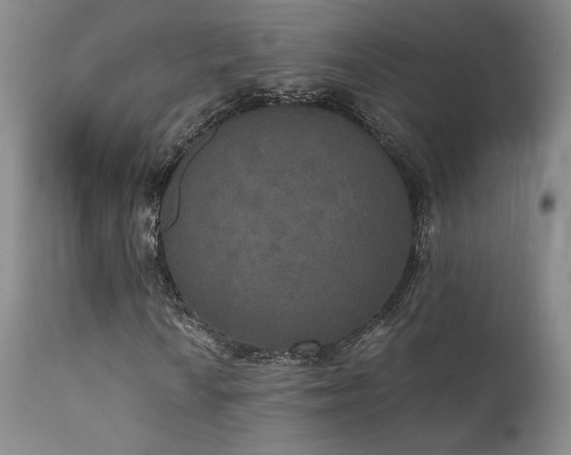 X0000111441010200907131300