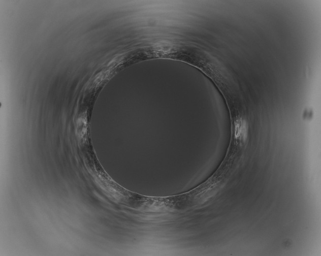 X0000111441011200907131300