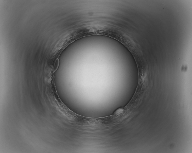 X0000111441012200907131300