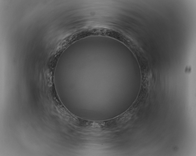 X0000111441013200907131300