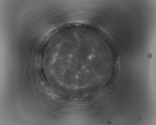 X0000111441014200907131300
