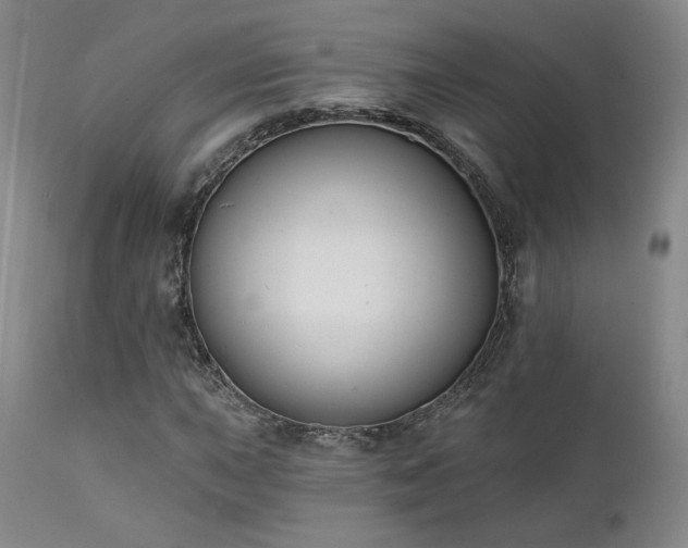 X0000111441015200907131300