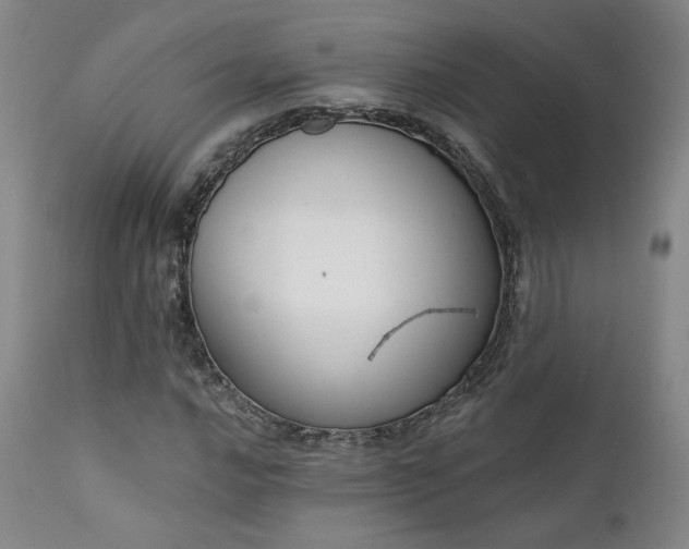 X0000111441016200907131300