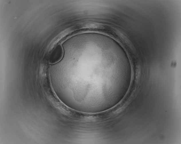 X0000111441017200907131300