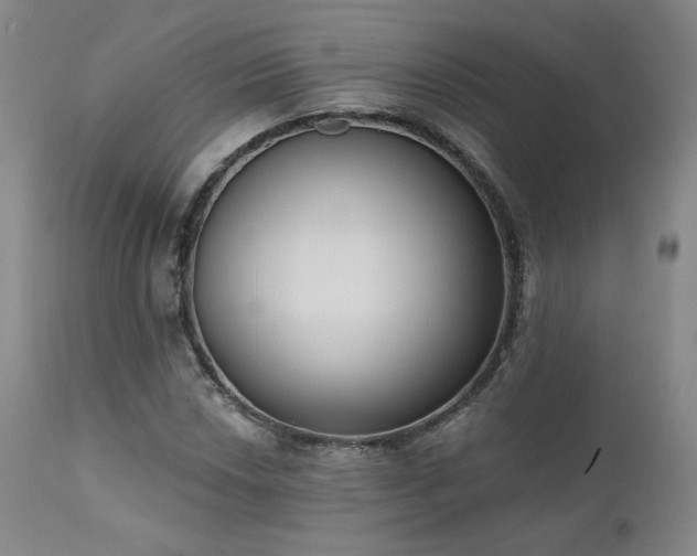 X0000111441018200907131300