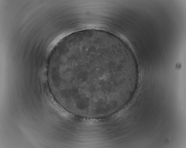X0000111441019200907131300