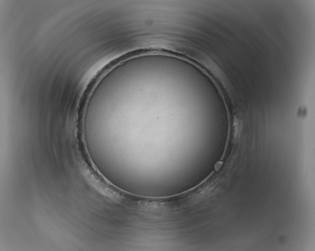 X0000111441020200907131300