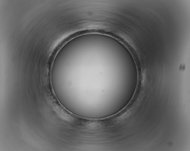 X0000111441021200907131300