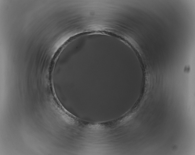 X0000111441023200907131300
