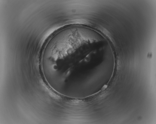 X0000111441024200907131300