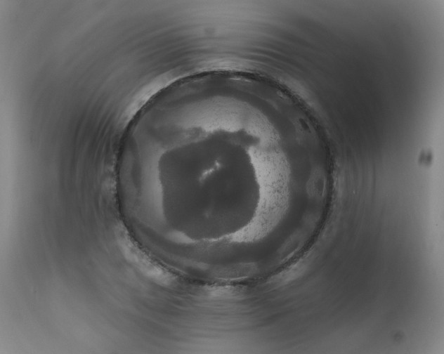 X0000111441025200907131300
