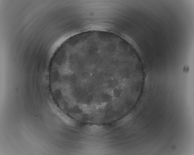X0000111441027200907131300