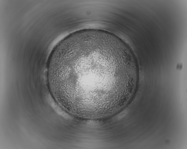 X0000111441029200907131300